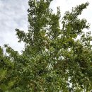 인영상사 이미지