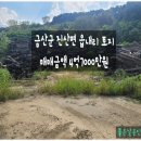 진산면사무소 이미지