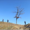 (팔공기맥 8구간: 한티재~가산~갈비재). 가산산성과 가산바위가 뭉쳐 동화가 되었네. 이미지