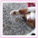 아이조아 요양보호소 경기광주 이미지