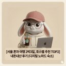 호스텔 27 | 서울 혼자 여행 2박3일, 호스텔 추천 TOP2 내돈내산 후기 (디지털 노마드 숙소)