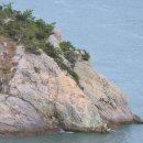 부산병풍