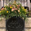 라메르프로방스