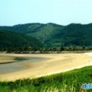 태안 신두리 해안사구[ Coastal Dune in Sindu-ri, Taean , 泰安 薪斗里 海岸砂丘 ]충청남도 태안군 원북면 신두 이미지