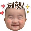 스쿠터팩토리 | [내돈내산리뷰]세종호수공원 삼륜 스쿠터 🏍 이용후기