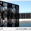 윤 파렛트