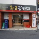 황금꽃돼지 이미지