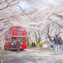 비아이월드 이미지