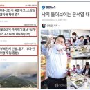 낙지대통령 이미지