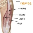 황새울로132번길 | 폼롤러의 중요성에대해 진실을 알아보자 (폼롤러사진)