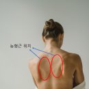 오체한의원 네이버블로그