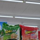 에스닷대전