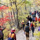 피아골 단풍공원 이미지