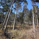 양고살재 주차장 화장실 이미지