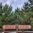 낙산사홍련암 | 강원도 낙산사 홍련암 방문 후기