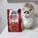 살랑 그루밍 | 그레인프리등급 내추럴발란스 울트라 프로틴 리얼 연어 살몬&amp;치킨 캣 레시피 기호성좋은 고양이사료 추천