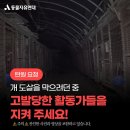 개 도살을 막으려던 SBS TV동물농장팀과 동물활동가를 고발해서 검찰송치 상태야 탄원요청!! (23일 오후4시 마감) 이미지