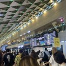 해월정매점 | [제주도 여행] 제주공항, 보말칼국수 맛집 '해월정', 알록달록 예쁜 수국 만개 '카멜리아 힐'