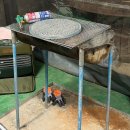 솔숲민박 이미지