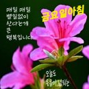 여름철 몸에 좋은 과일들 효능 정리 ~~ 이미지