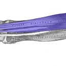 심지한의원 이미지