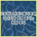 핑크강아지 | 고창청농원핑크뮬리축제, 강아지와 함께 즐기는 체험 후기