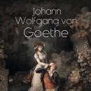 괴테하우스 이미지