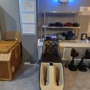 자모의원 이미지