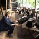 동거목장 이미지