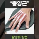 토탈디티 이미지