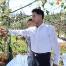 보은군 과수거점산지유통센터 | 보은군, 일소 피해 사과 가공용 수매지원 나서