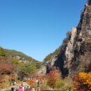 강천산 Daum카페