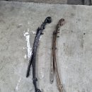 남윤카센타 이미지