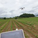 광원농장 이미지