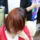 뷰티헤어칼라 이미지