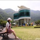 국도6호경강 이미지