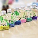 곰소초교 | [부안 곰소 초등학교 교직원 연수] 시원한 바다를 담다! 바다 디퓨저 만들기