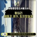 새둥지 | 성동구 왕십리 아파트 실외기 새둥지 제거 후기｜비둘기 퇴치망 설치 작업