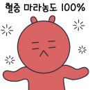 탕화쿵푸마라탕일산