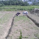 경선농장 이미지