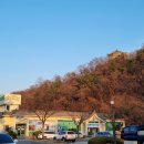 남원축산물 명품관