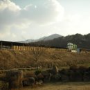 대성목장 이미지