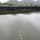 팔미리낚시터 이미지