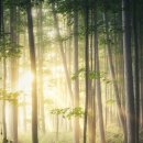 만월중학교 이미지