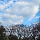 (주)유프리 | 메리크리스마스🌲12월의 일본여행✈️✈️