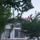 사인암주유소 이미지