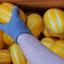 오복과일 이미지