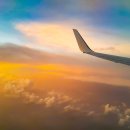 새별 행정사사무소 이미지