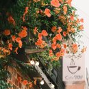 토브하우스커피3 이미지