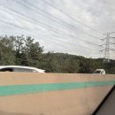 지에스25동전주IC점 | [빠계지의 주짓수 대회] 동아시아 선수권 대회 in 전주 (1편)